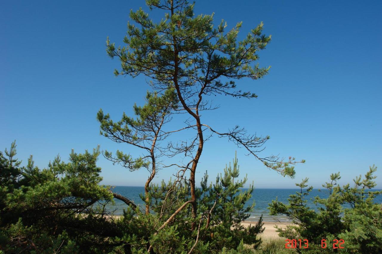 팔랑가 Pajurio Vingis 아파트 호텔 외부 사진